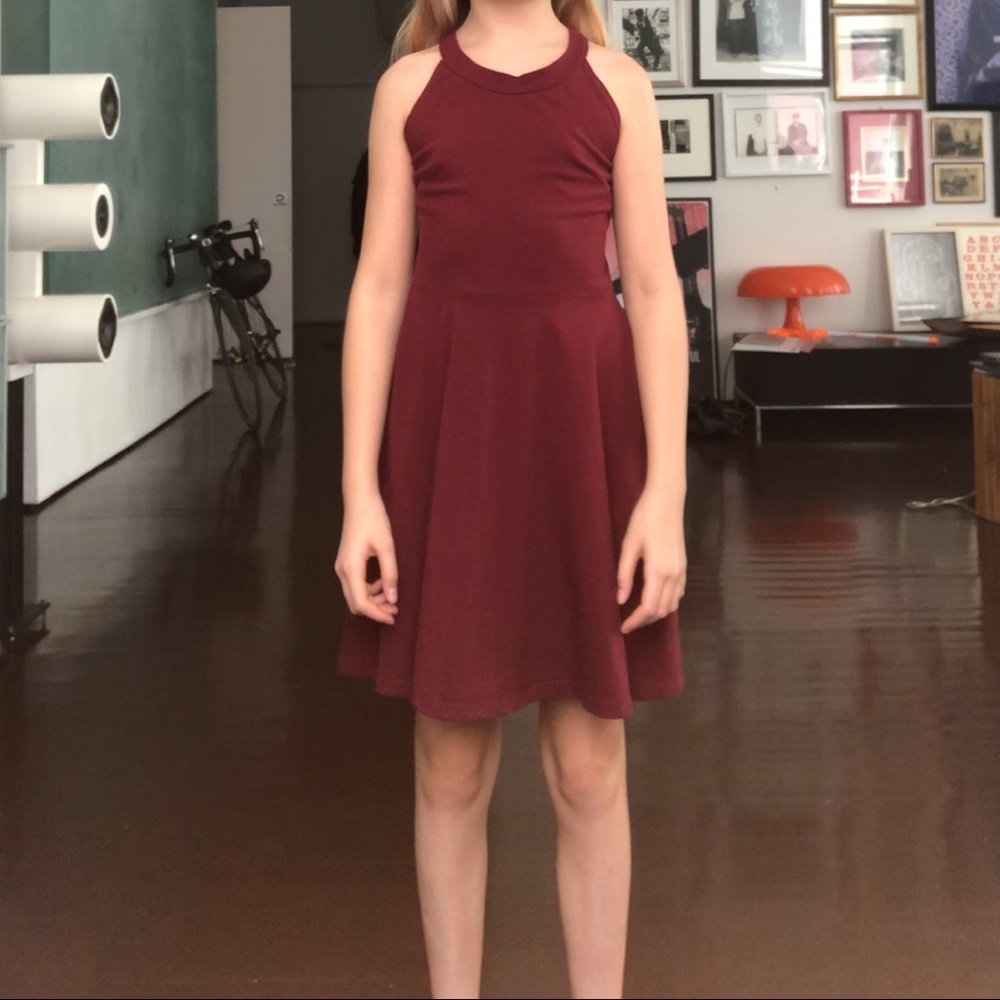 Burgundy skater dress